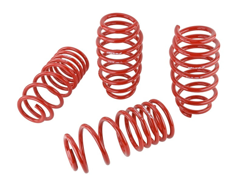 Lowering Springs